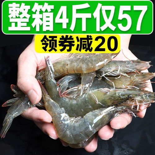 深海馈赠 野生海捕整箱大虾的鲜美之旅