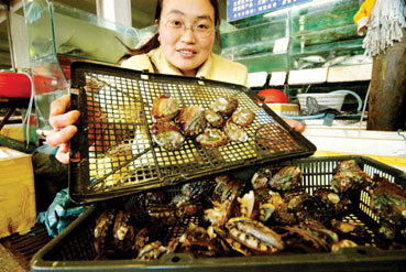 连云港海参鲍鱼喜迎丰收季，鲜活海味抢鲜上市