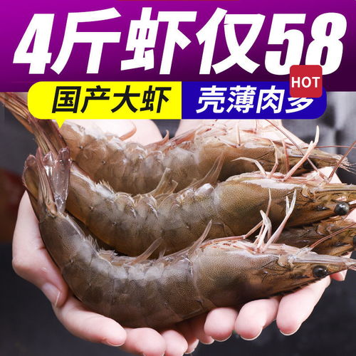 鲜活与冷冻之争 一箱基围虾背后的海鲜选择智慧