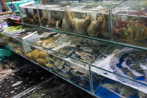 沿着高速自驾游海南 阳光沙滩海风与鲜活海产品的完美邂逅（三）