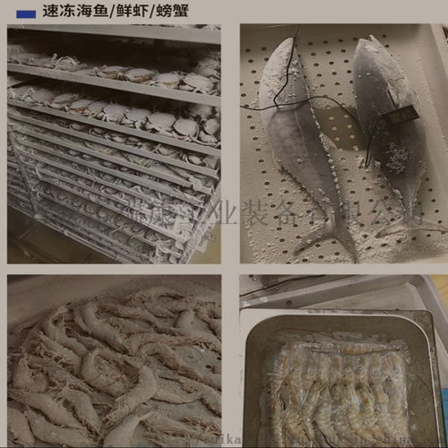 海产品面食低温速冻柜选购全攻略 厂家价格、型号图片与批发渠道解读